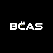 BlackCatAnimationStudios Logo
