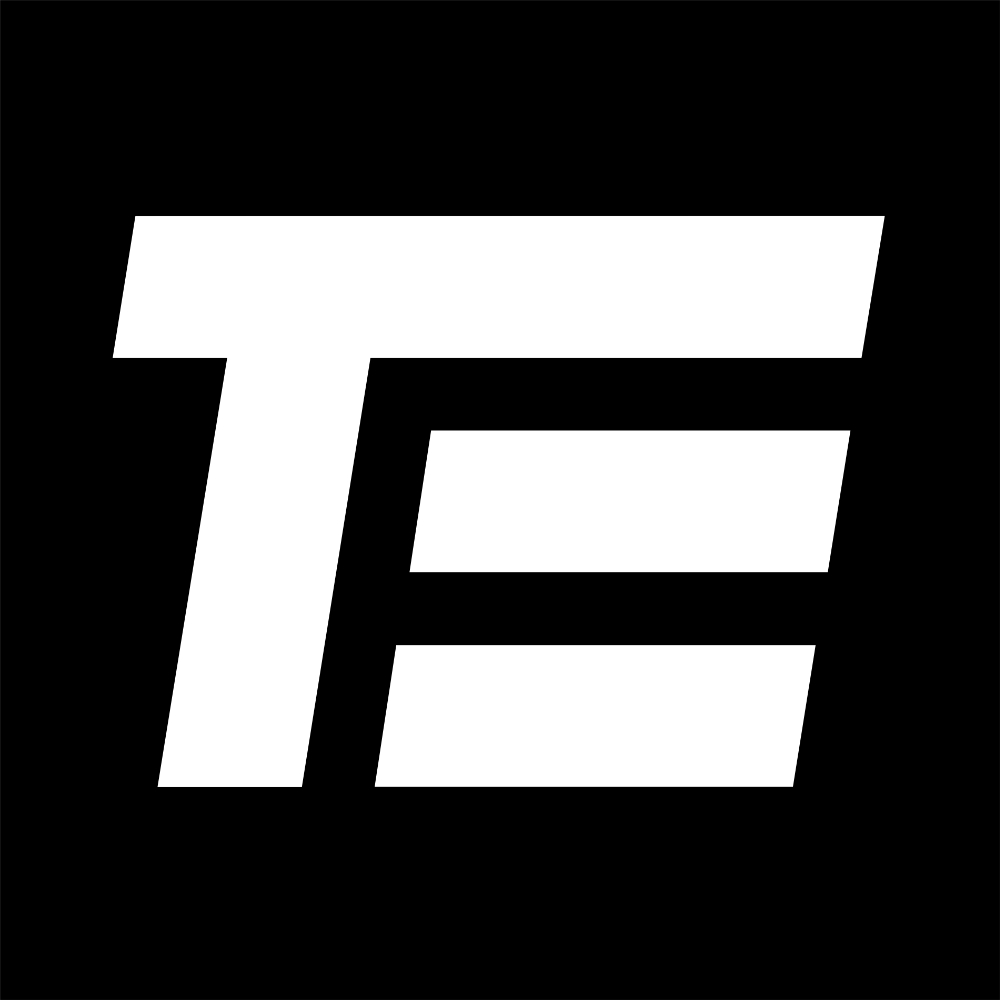 Webagentur Aargau - TE Web Logo
