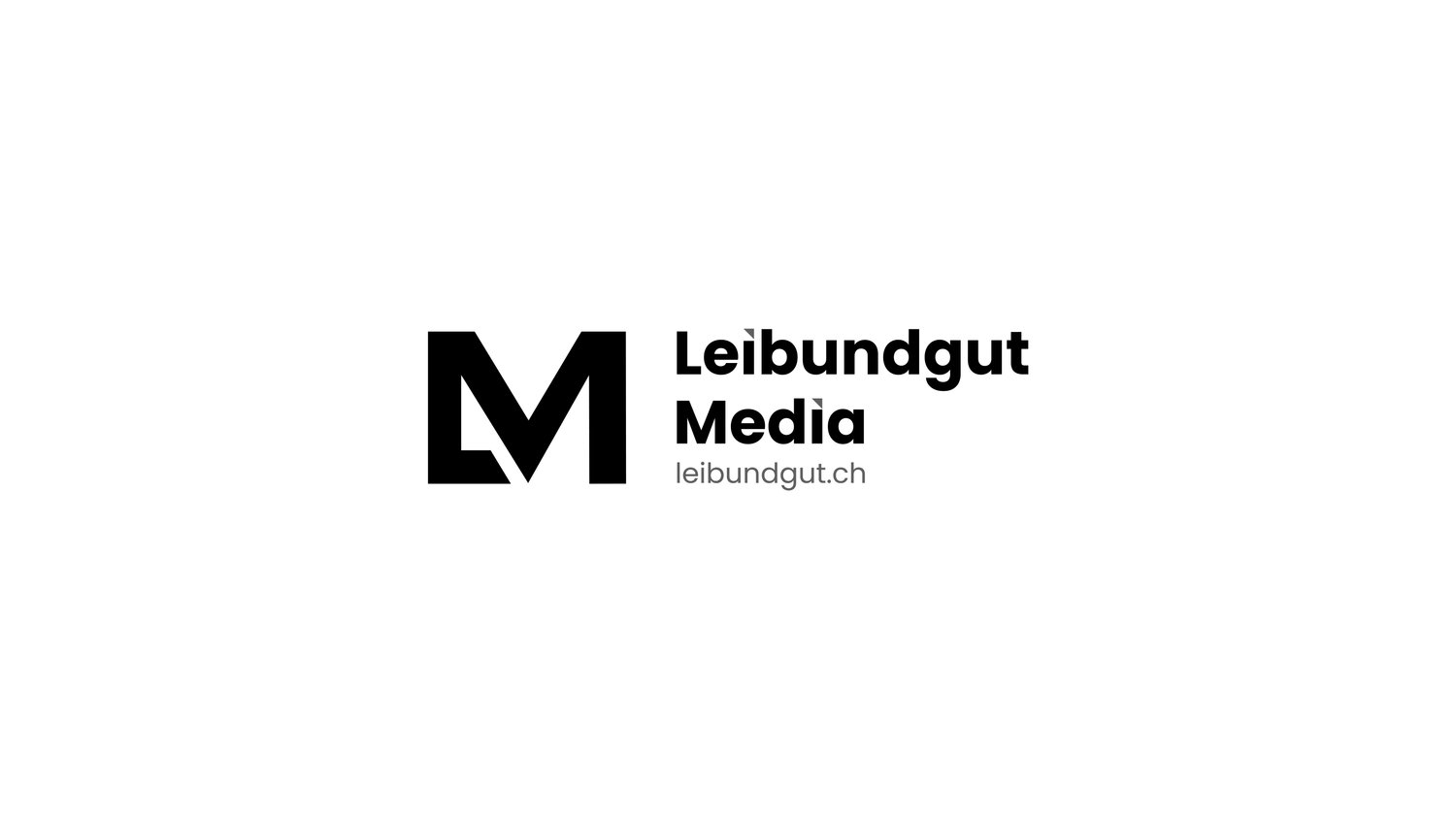 Leibundgut Media Logo