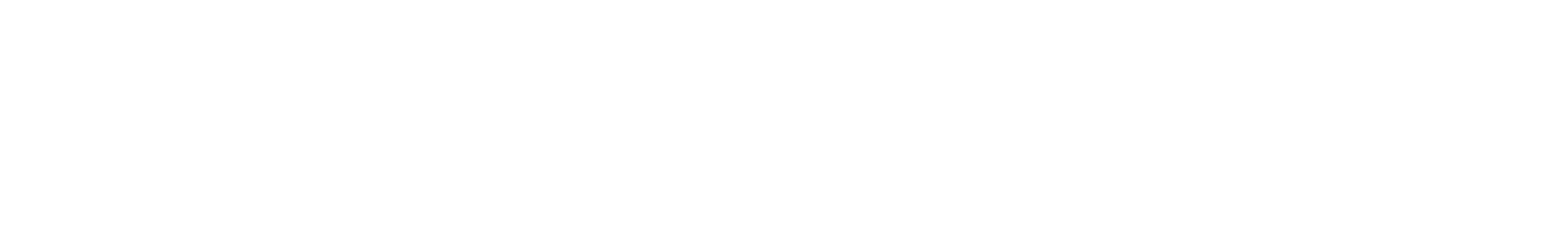 Spaeth-Wiesner GmbH | Webagentur Basel | Digitales Marketing Logo
