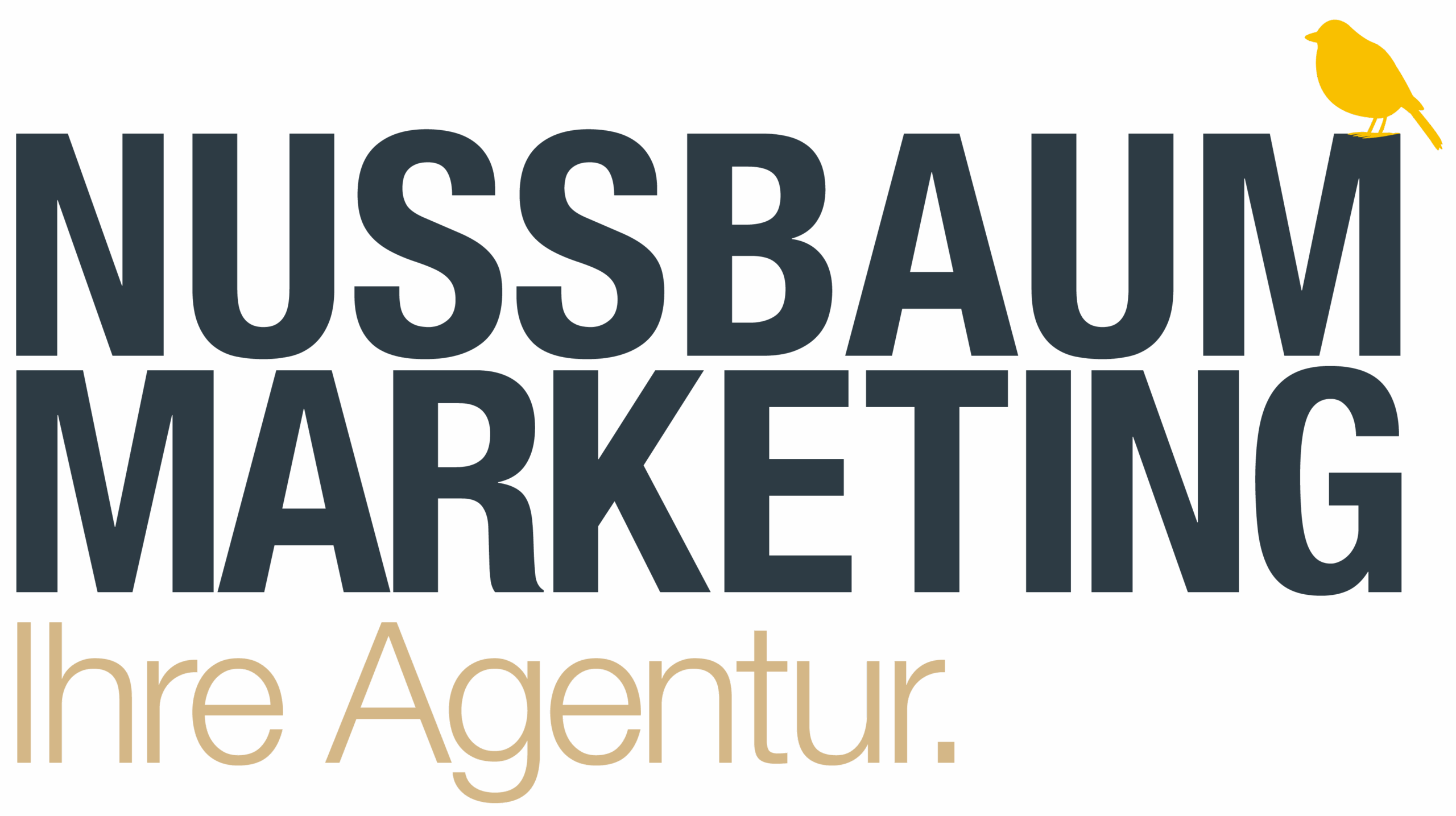 NUSSBAUM Marketing & Kommunikation Logo
