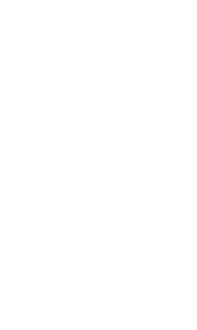 Webjungle - Agentur für Innovation & Webdesign Logo