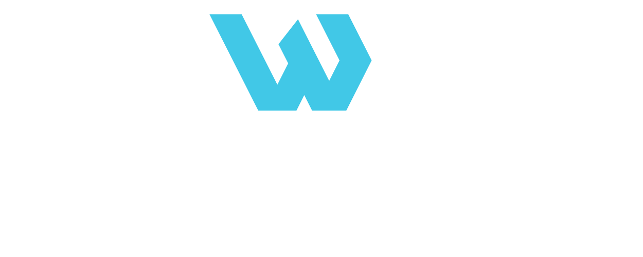 Weboskopie- Beratung und Digitalisierung der Arztpraxen Logo