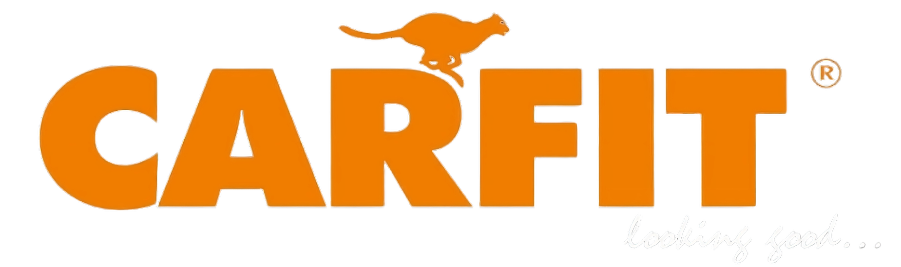 CARFIT - by Larry Cassel - Logo