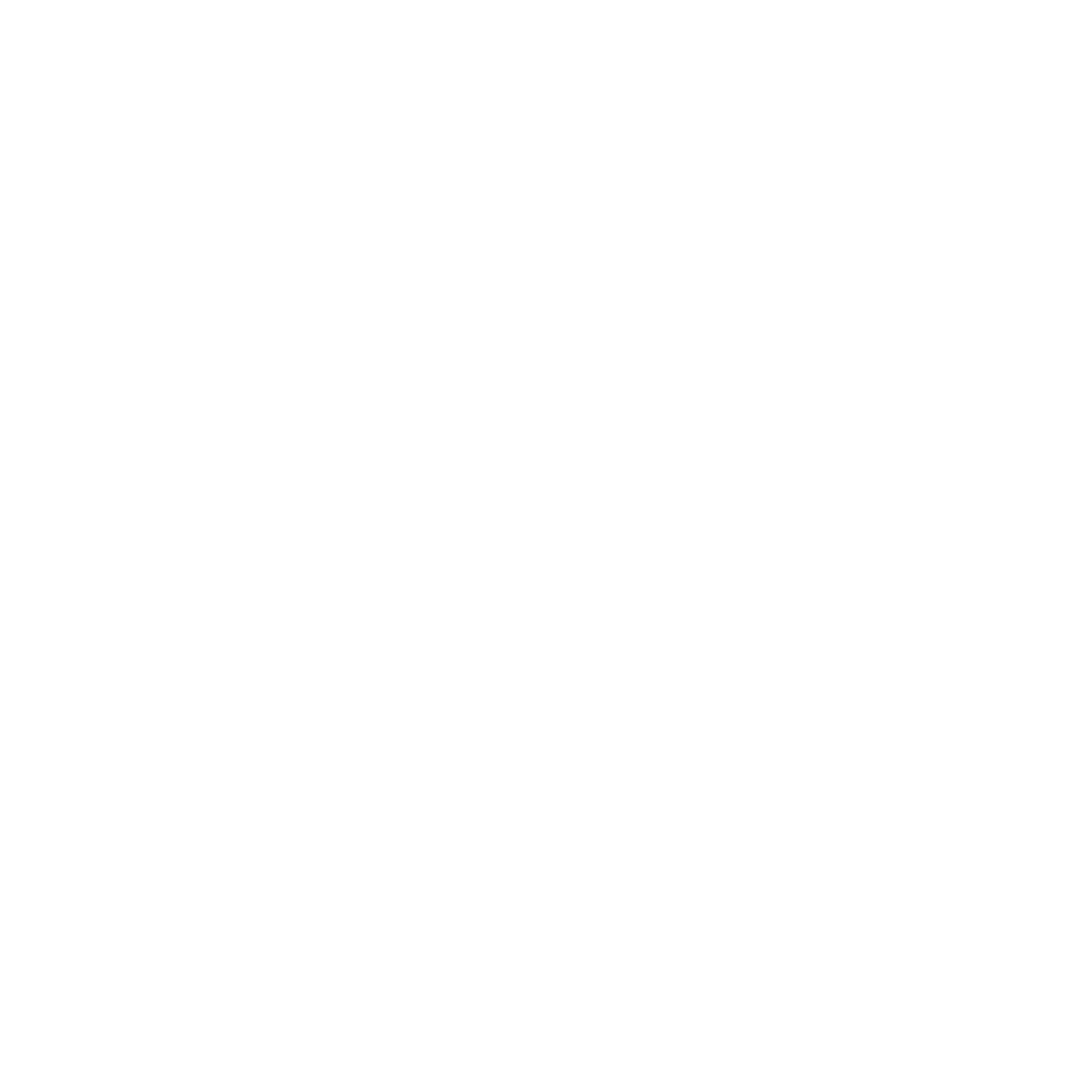 Motus Films | Videoproduktion Flensburg Logo