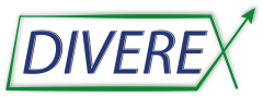 SEO Agentur Chemnitz & Rampen-to-Go - DIVEREX UG Logo