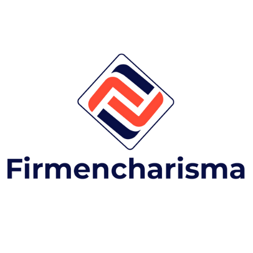 Firmencharisma - SEO & Webdesign aus Wolfsburg Logo
