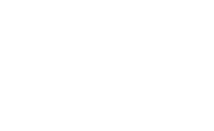 FR-Scaling Logo