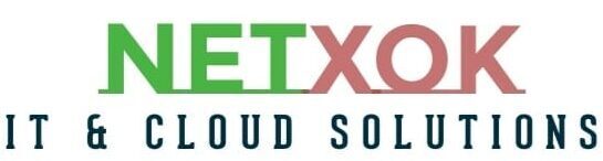 Netxok- Services & Solutions IT Logo