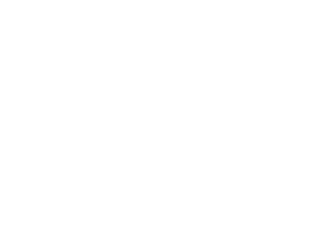 Site IT Rüdisüli Logo