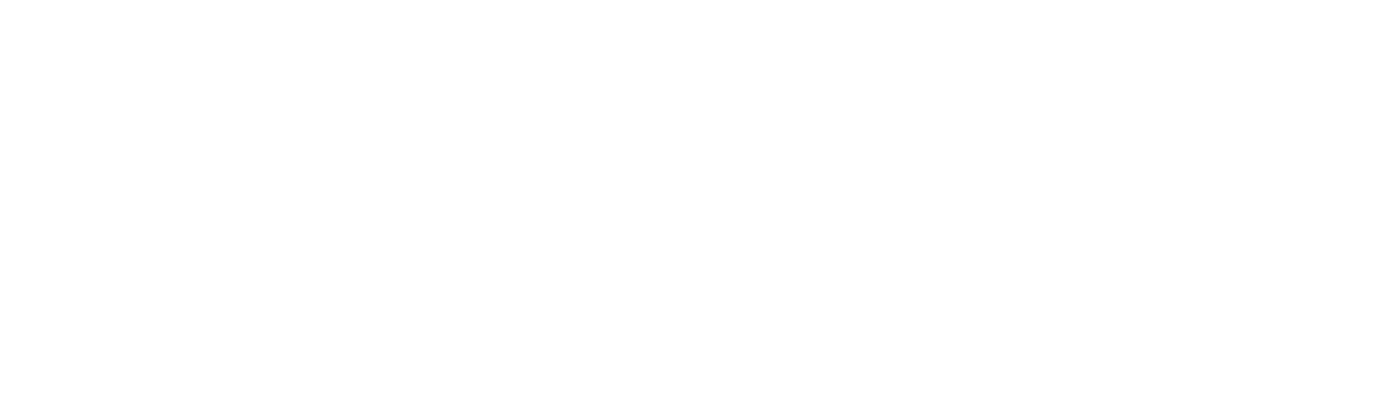 Bonn.digital eGbR Logo