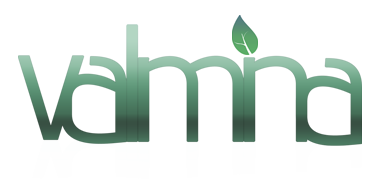 VALMINA Logo