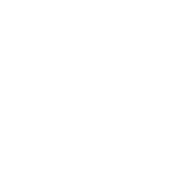 BSP Consulting Logo