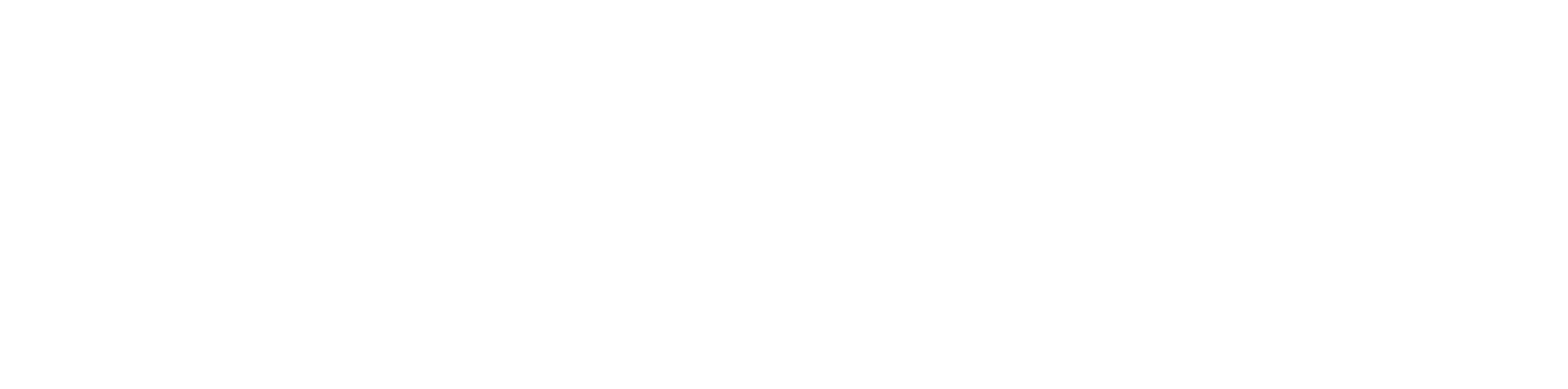 Digiconn Logo