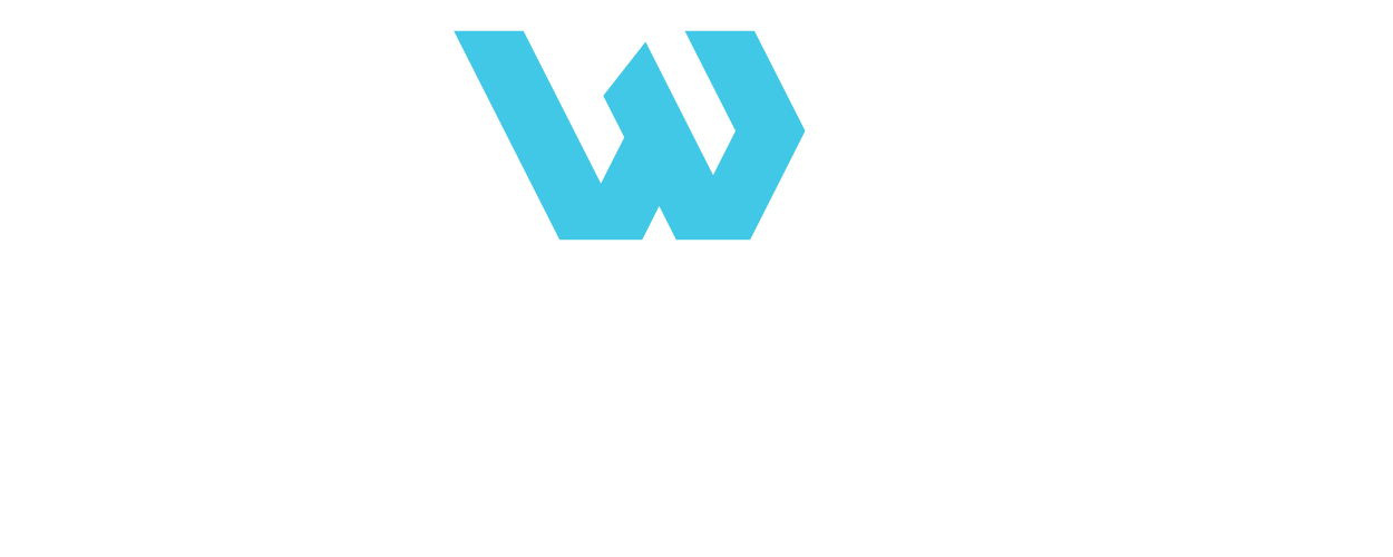 Weboskopie- Beratung und Digitalisierung der Arztpraxen Logo