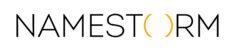 Namestorm Logo