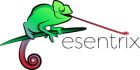 esentrix Logo