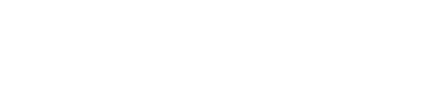 Danny Maschok SEO Agentur Logo