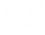 Patrick Fialkowski Logo