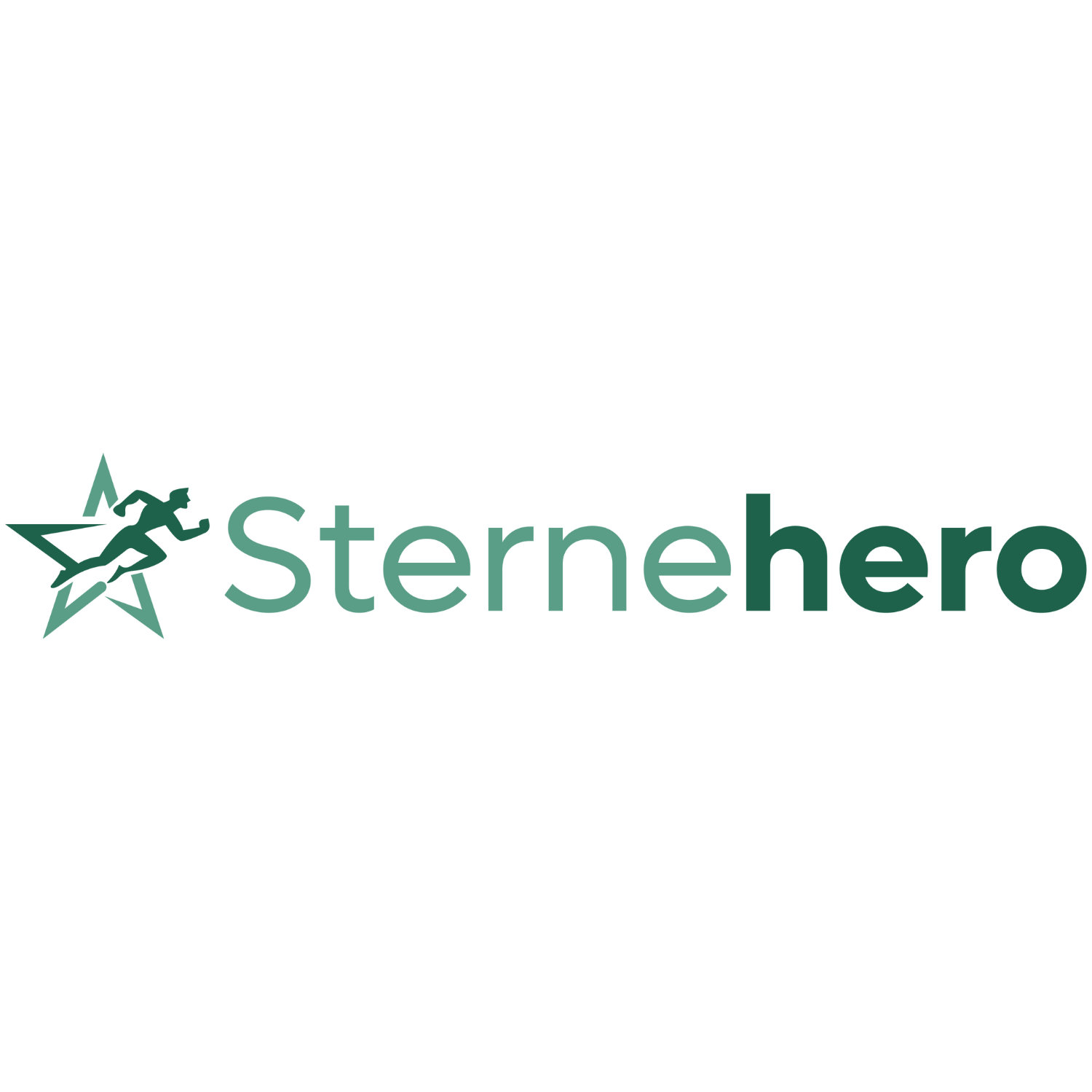 Sternehero Logo