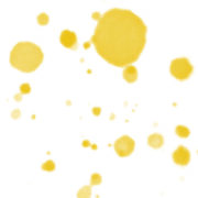 Texo-Design Bornhauser Logo