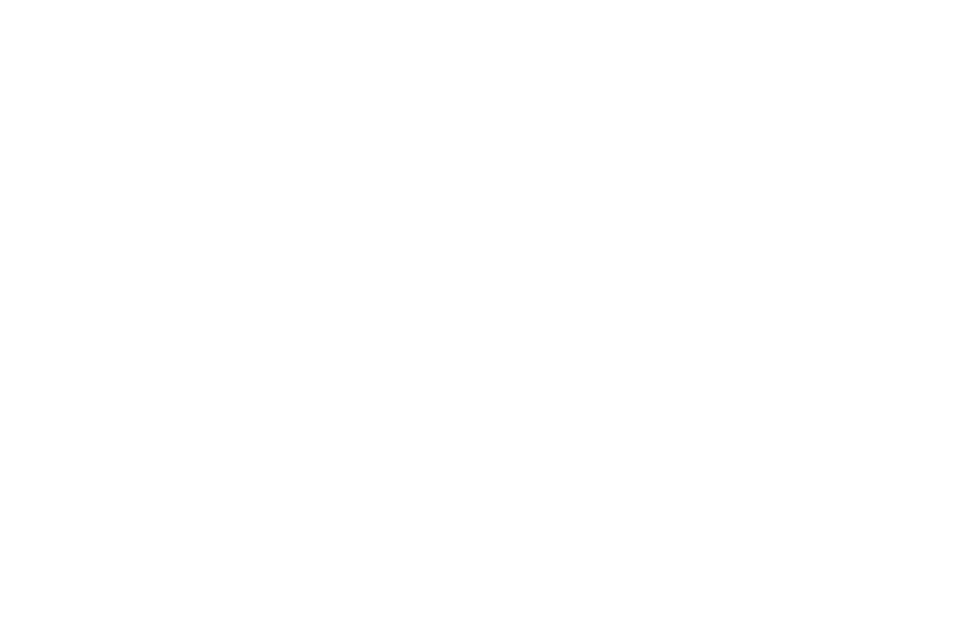 plant values Beratung und Coaching für Nachhaltigkeit Logo