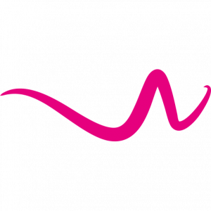 Webstorm Media Logo