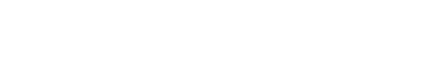 Site Fokus Webdesign Logo