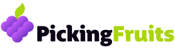PickingFruits Logo