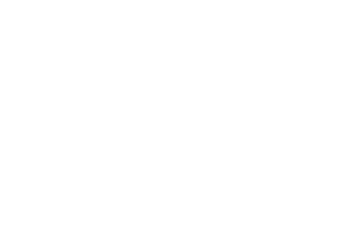 SOLID WHITE design & digital media GmbH Logo