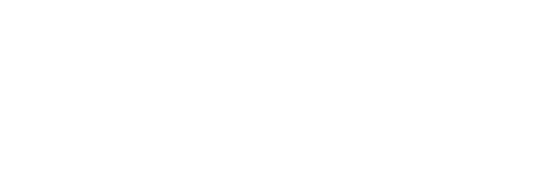 bearone Logo