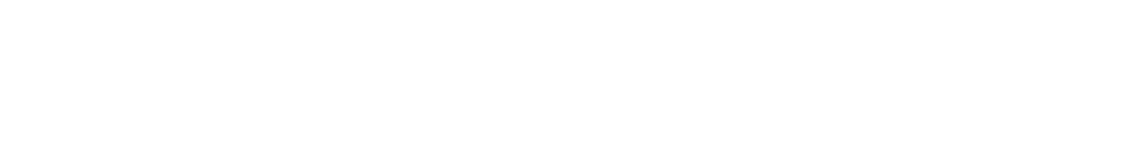 WELTBERG GmbH Logo