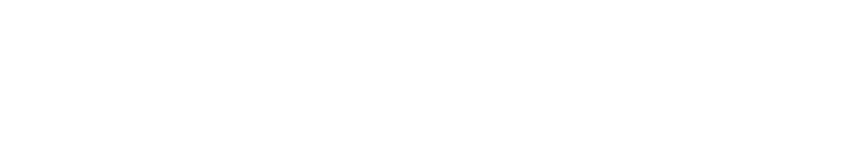 RED VISION Logo