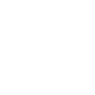 WordPress Wartung Logo
