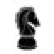 Digital Equestrians Logo