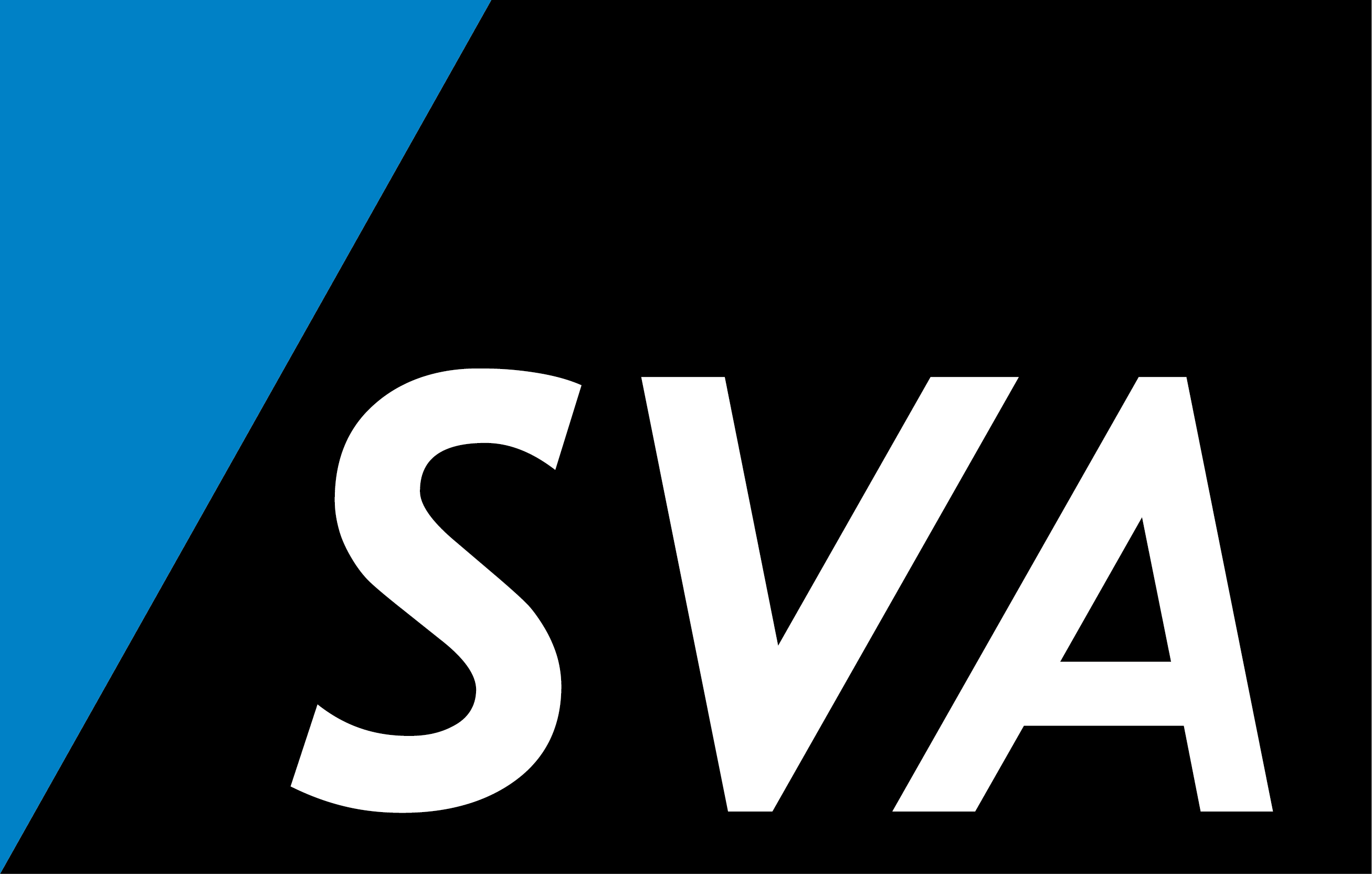 Arkadius Jonczek | Senior Consulting Software Engineer @ SVA System Vertrieb Alexander GmbH Logo
