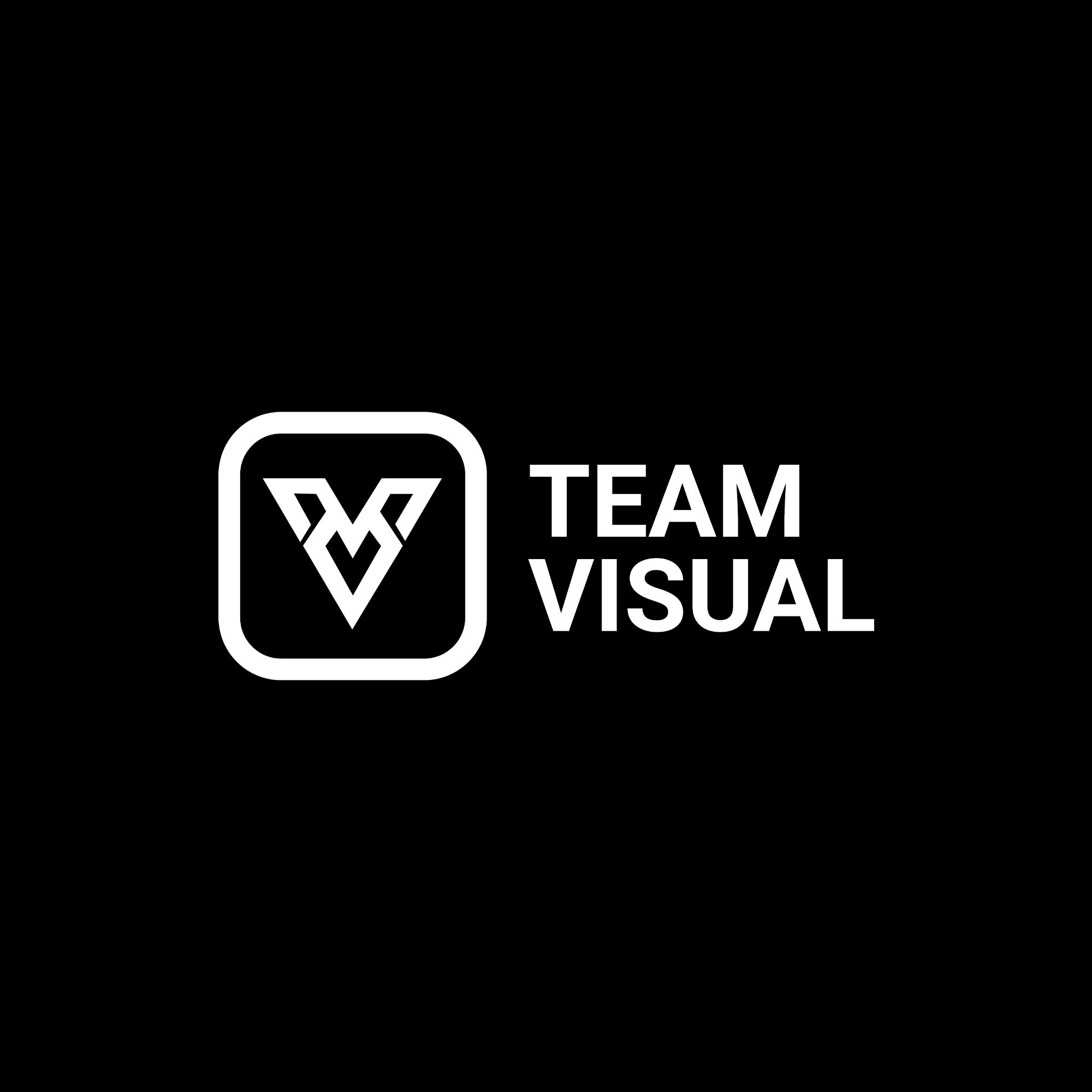 Team Visual AG Logo