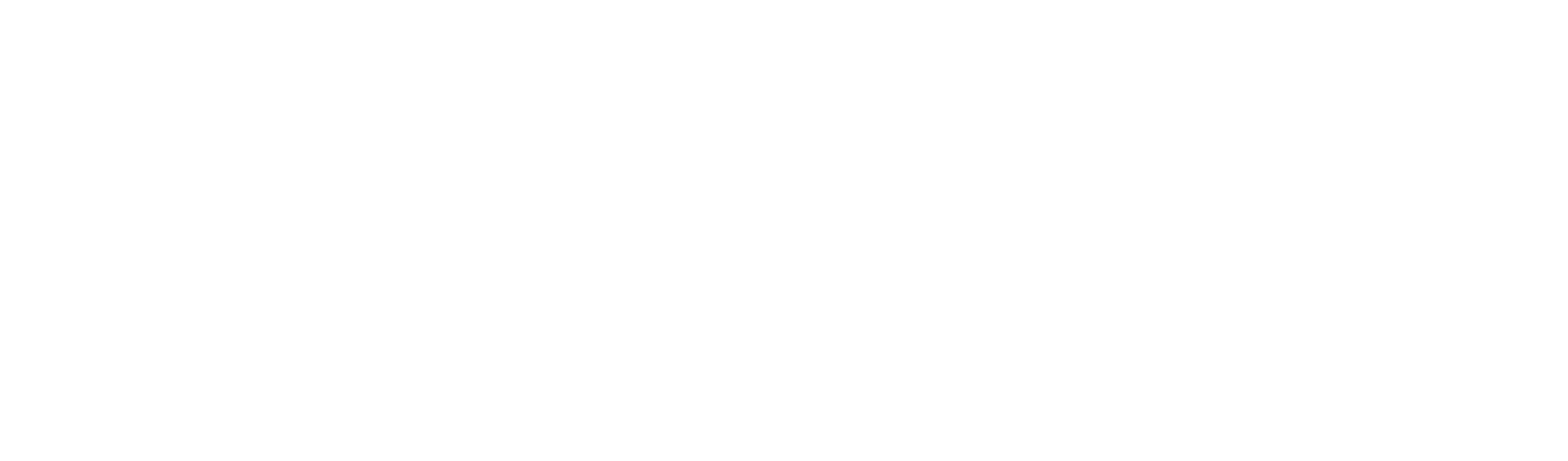 STOLL Consulting Logo