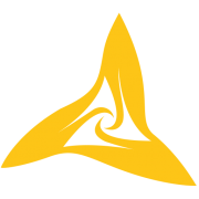 NASH GROUP Logo