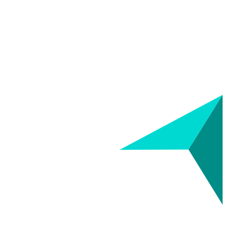 Customer Flows Näpfer Logo