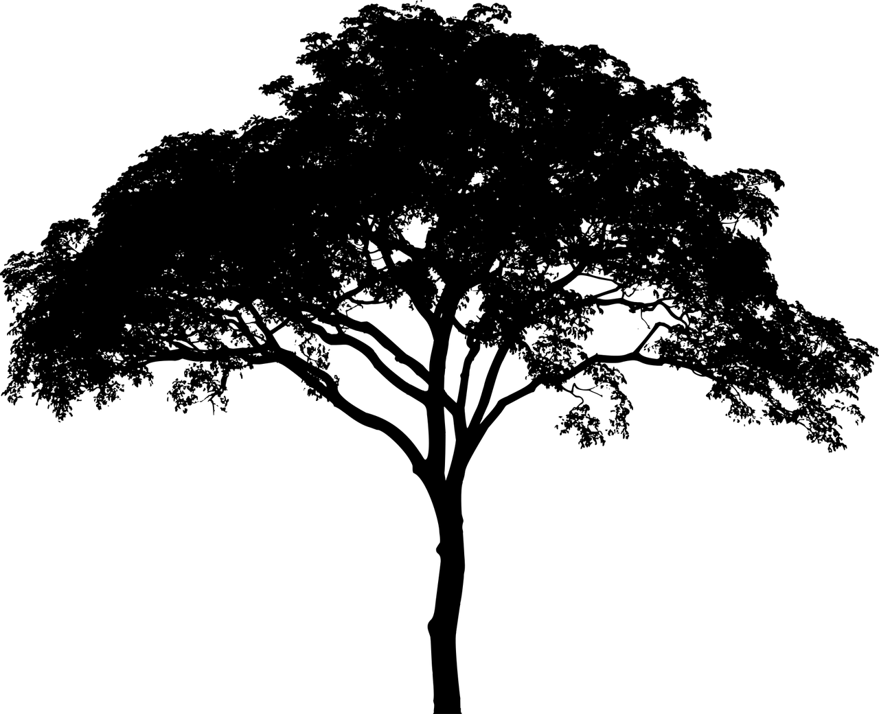 Online Beratung und Dienstleistung - Marten Grobe Logo