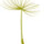 motion marketing Logo