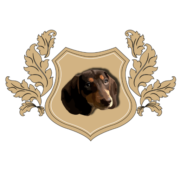 JuniDesigns Logo