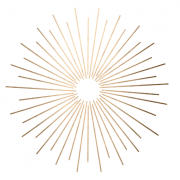 Patricia Digital Studio Logo