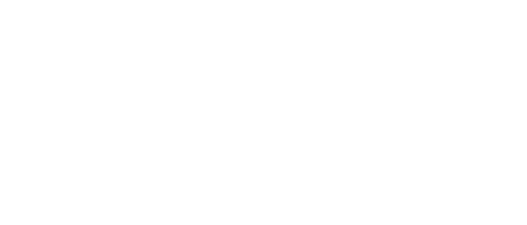filusch fiore kommunikations.design GmbH Logo