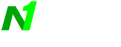 N1 SEO Agentur Bonn Logo