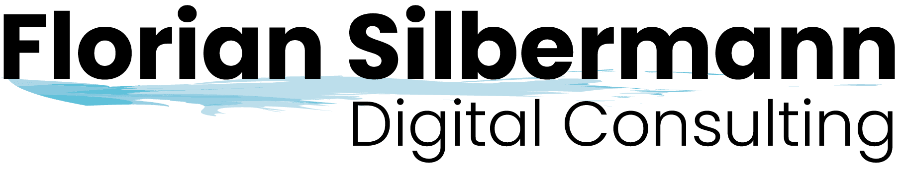 Silbermann Consulting - raumzeitmedia GmbH Logo
