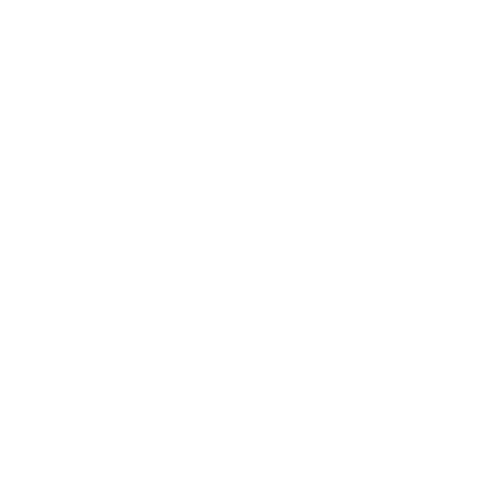 Light Memory Logo