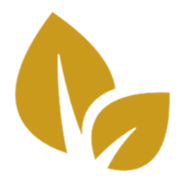 qrpage - webdesign Logo