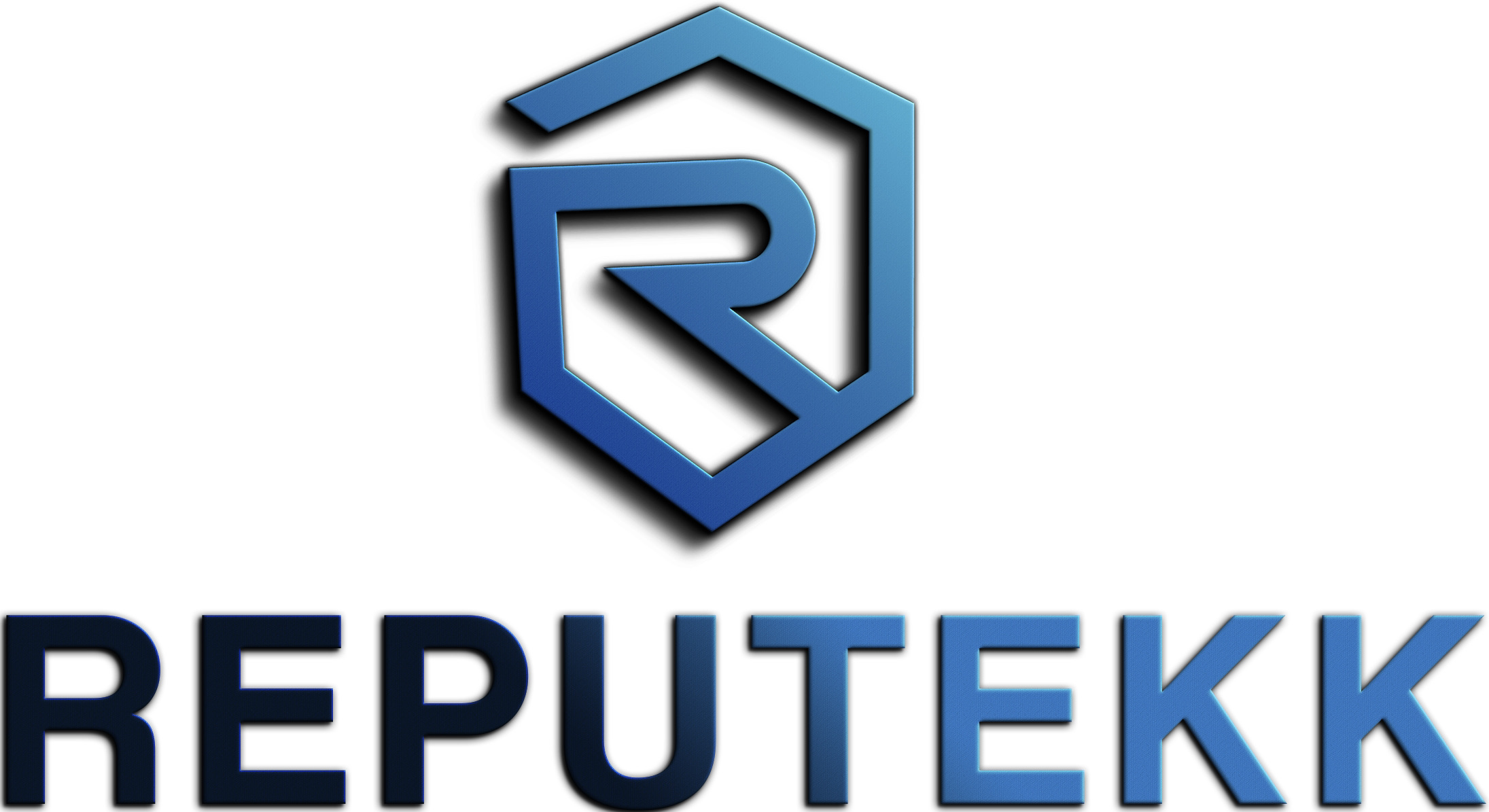 Reputekk GmbH & Co. KG Logo